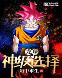 Dragon Ball: God-level Choice